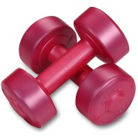 Гантели обливные INDIGO 1 кг, с виниловым покрытием, розовые, 2 шт (EK-212 1)