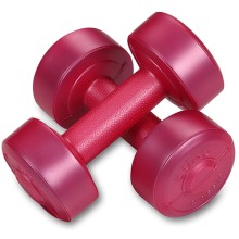 Гантели обливные INDIGO 1 кг, с виниловым покрытием, розовые, 2 шт (EK-212 1)