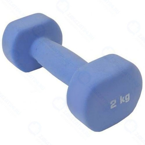 Гантель SportElite 2 кг Blue (ES-0392 )