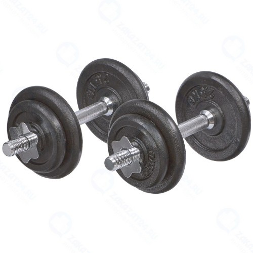 Набор гантелей Bradex SF 0557 2 шт, 20 кг, кейс