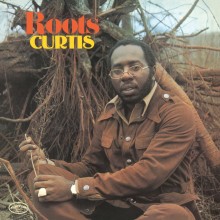 Виниловая пластинка WARNER-MUSIC Curtis Mayfield - Roots