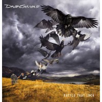 Виниловая пластинка SONY-MUSIC David Gilmour - Rattle That Lock