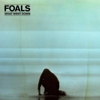 Виниловая пластинка WARNER-MUSIC Foals - What Went Down
