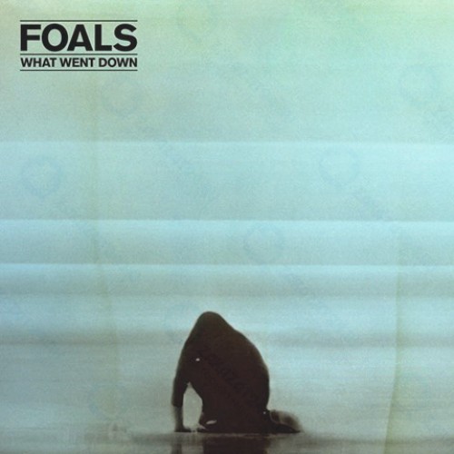Виниловая пластинка WARNER-MUSIC Foals - What Went Down