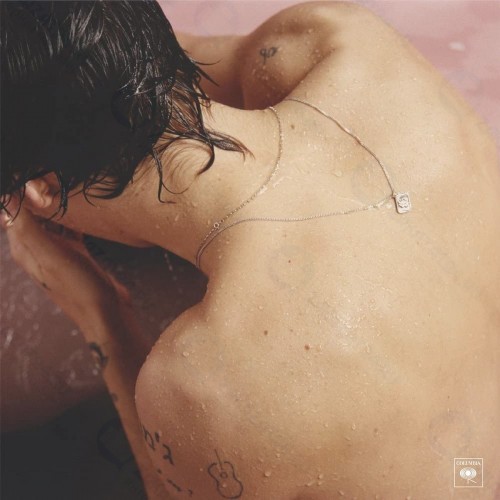 Виниловая пластинка SONY-MUSIC Harry Styles - Harry Styles