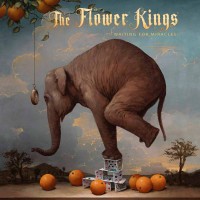 Виниловая пластинка WARNER-MUSIC The Flower Kings - Waiting For Miracles