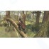 Игра Assassin's Creed III: Обновленная версия для Nintendo Switch
