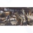 Игра для PS5 TECHLAND-PUBLISHING Dying Light 2: Stay Human. Стандартное издание