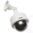 Фальш-камера Rexant 45-0200 (483316)