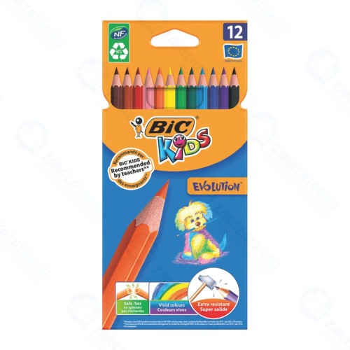 Набор карандашей BIC Kids Evolution ECOlutions, 12 шт (82902912)