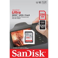 Карта памяти SanDisk Ultra 256GB (SDSDUN4-256G-GN6IN)
