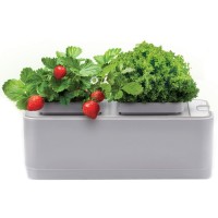 Умный сад Назад К Истокам iGarden G2018