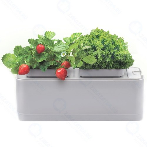 Умный сад Назад К Истокам iGarden G2018