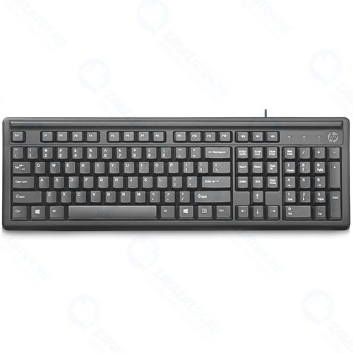 Клавиатура HP Keyboard 100 Russ (2UN30AA#ACB)