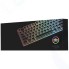 Игровая клавиатура Sharkoon PureWriter TKL RGB slim Blue