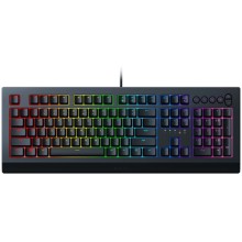 Игровая клавиатура Razer Cynosa V2 (RZ03-03400700-R3R1) Игровая клавиатура Razer Cynosa V2 (RZ03-03400700-R3R1)