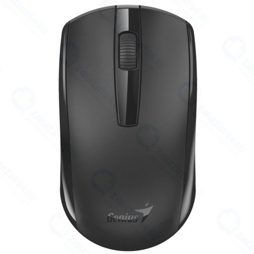Мышь Genius ECO-8100 Black (31030004400)