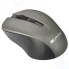 Мышь Canyon CNE-CMSW1G