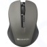 Мышь Canyon CNE-CMSW1G
