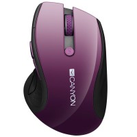 Мышь Canyon CNS-CMSW01P
