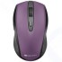 Мышь Canyon CNS-CMSW08V