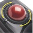 Трекбол KENSINGTON Expert (K72359WW)