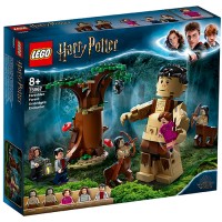 Конструктор Lego Harry Potter: Запретный лес. Грохх и Долорес Амбридж (75967)