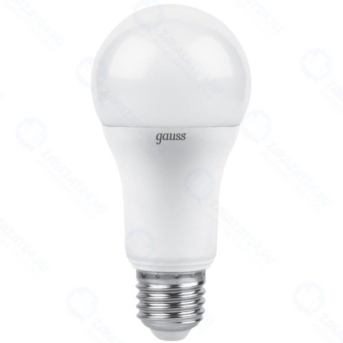 Светодиодная лампа Gauss Led A60 globe 12W E27 2700K (102502112)