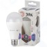 Светодиодная лампа ЭРА LED A65-19W-860-E27