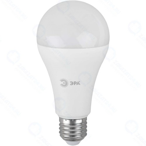 Светодиодная лампа ЭРА LED A65-25W-865-E27 R