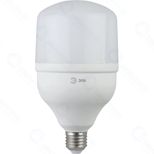 Светодиодная лампа ЭРА LED POWER T80-20W-6500-E27