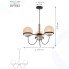 Люстра потолочная RIVOLI Veronika (3066-303)