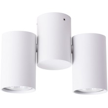Светильник потолочный Arte Lamp Gavroche (A1511PL-2WH) Светильник потолочный Arte Lamp Gavroche (A1511PL-2WH)