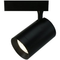 Светильник потолочный Arte Lamp Soffitto (A1730PL-1BK)