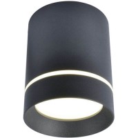 Светильник потолочный Arte Lamp Elle (A1909PL-1BK)