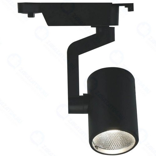 Светильник потолочный Arte Lamp Traccia (A2310PL-1BK)