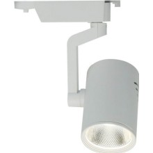 Светильник потолочный ARTE-LAMP Traccia (A2320PL-1WH)