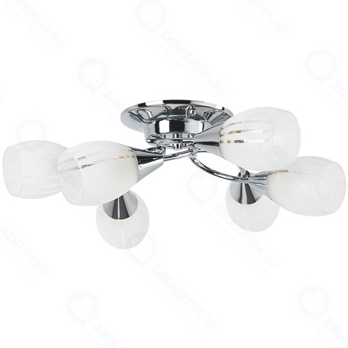 Светильник потолочный Arte Lamp Penny (A2701PL-6CC)