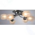 Светильник потолочный Arte Lamp Penny (A2701PL-6CC)