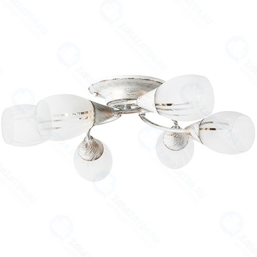 Светильник потолочный Arte Lamp Penny (A2701PL-6WG)