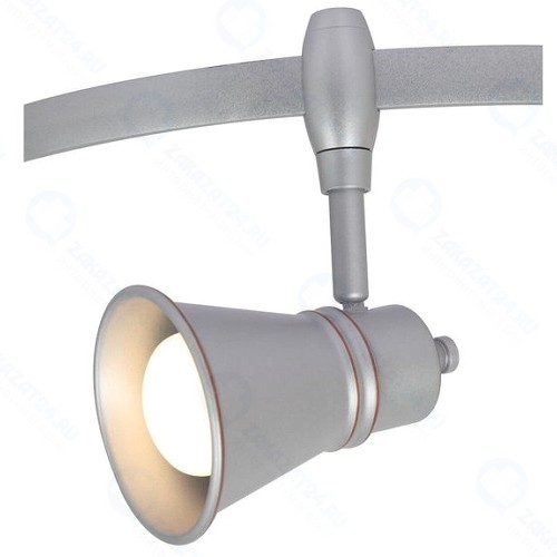 Светильник потолочный Arte Lamp Rail Heads (A3057PL-1SI)