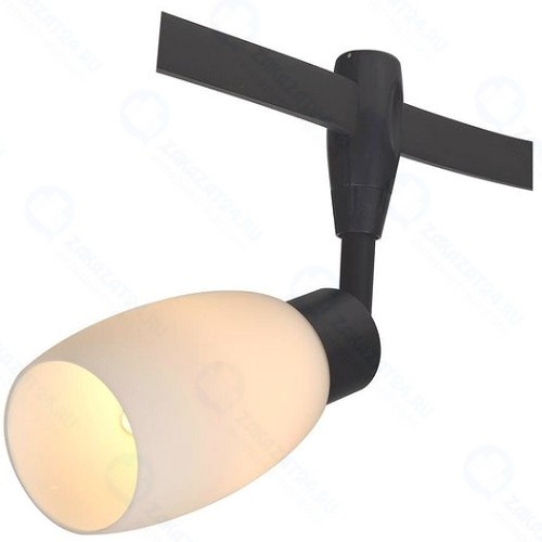 Светильник потолочный Arte Lamp Rail Heads (A3059PL-1BK)