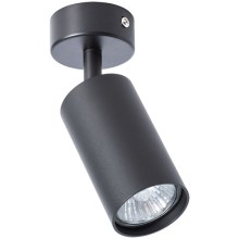 Светильник потолочный Arte Lamp Aquarius (A3216PL-1BK)