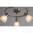 Светильник потолочный Arte Lamp Parry (A5062PL-3AB)