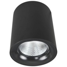Светильник потолочный ARTE-LAMP Facile (A5112PL-1BK)