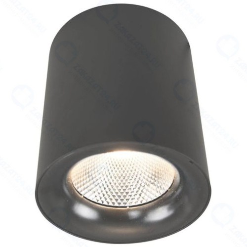 Светильник потолочный Arte Lamp Facile (A5118PL-1BK)