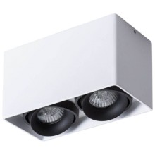 Светильник потолочный Arte Lamp Pictor (A5654PL-2WH) Светильник потолочный Arte Lamp Pictor (A5654PL-2WH)