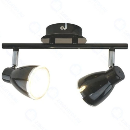 Светильник потолочный Arte Lamp Gioved (A6008PL-2BK)