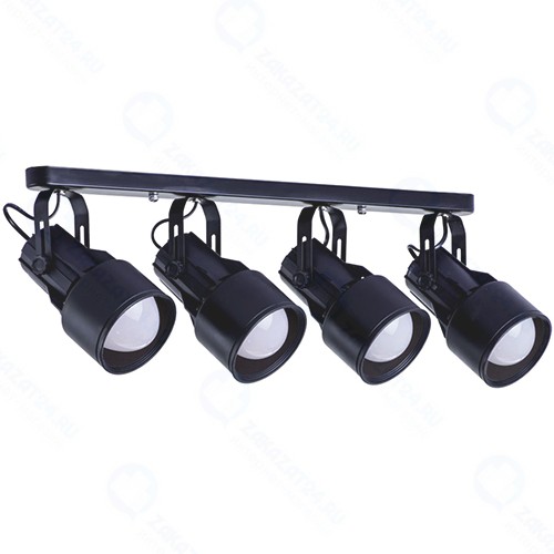 Светильник потолочный Arte Lamp Lyra (A6252PL-4BK)