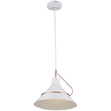 Светильник подвесной FREYA Amis FR5025PL-01W